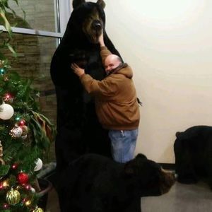 Meet your Posher, Patty